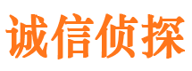 东丽侦探公司